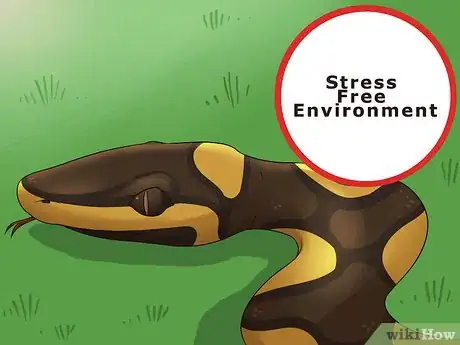 Image titled Care for a Shedding Snake Step 11