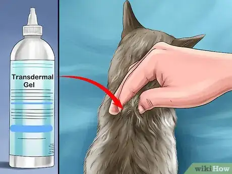 Image titled Give Serotonin (5 Ht) Agonists to a Cat Step 10