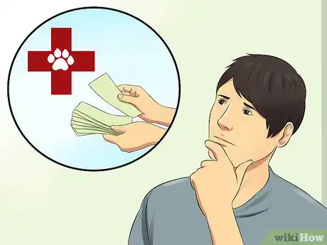 Image titled Diagnose Aortic Stenosis in German Shorthaired Pointers Step 10