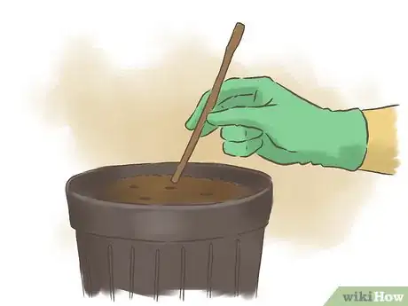 Image titled Grow Passion Fruit Step 3