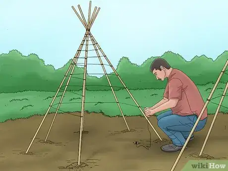 Image titled Grow Pole Beans Step 4