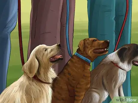 Image titled Keep an Indoor Dog Active Step 8