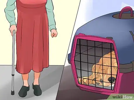 Image titled Keep Elderly Family Safe Around Active Dogs Step 4