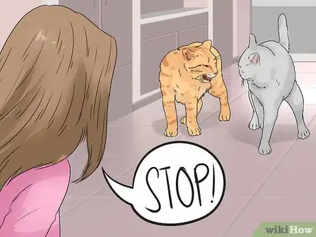 Image titled Prevent Fights Between Cats Step 5
