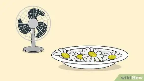 Image titled Grow Chamomile Step 25