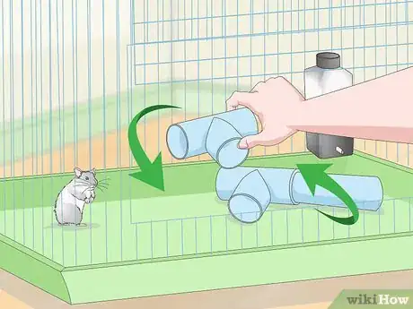 Image titled Train a Hamster to Run Through Tunnels Step 10
