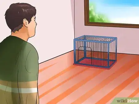 Image titled Care for African Pygmy Hedgehogs Step 4