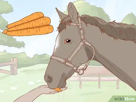 Image titled Prevent Laminitis in Horses Step 3