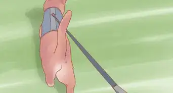 Introduce Your Kitten to the Outdoors Safely