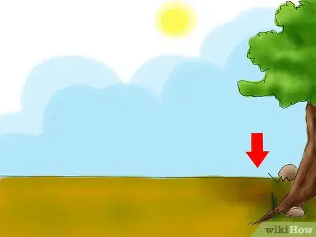 Image titled Grow Caladiums Step 03