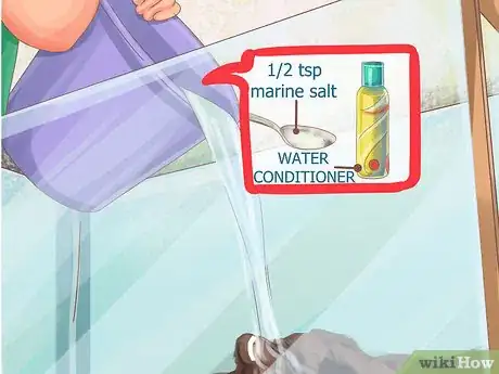 Image titled Clean a Fiddler Crab Tank Step 2