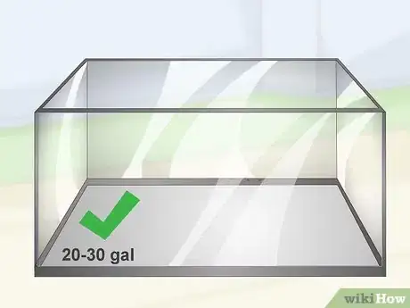 Image titled Care for Mbuna Cichlids Step 1