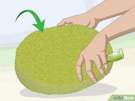 Image titled Buy Jackfruit Step 6