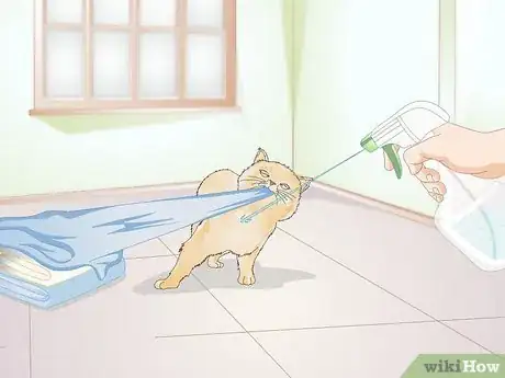 Image titled Use a Spray Bottle on a Cat for Training Step 6