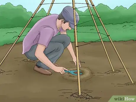 Image titled Grow Pole Beans Step 6