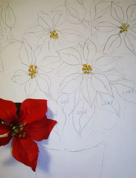 Image titled Pt berries and mask