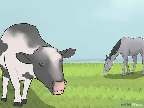 Image titled Maintain Horse Paddocks Step 15