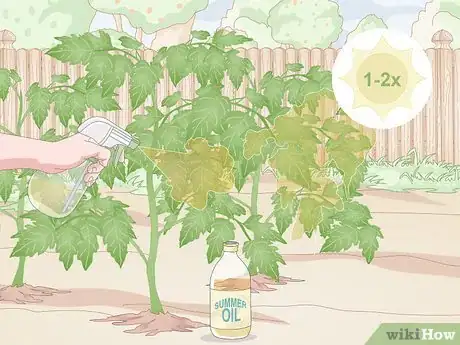 Image titled Prevent Spider Mites Step 10