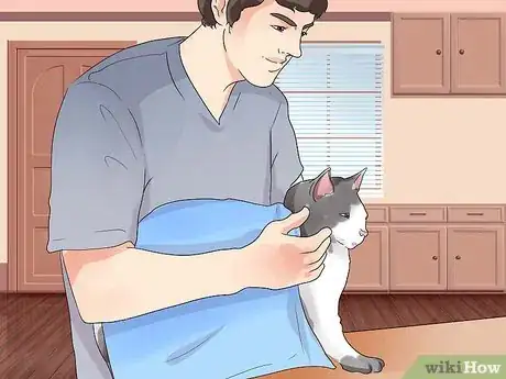 Image titled Prevent Cat Hairballs Step 3