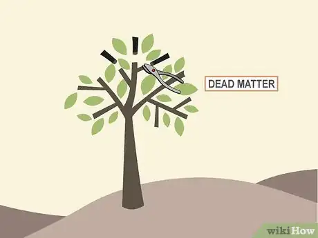 Image titled Prune Citrus Trees Step 8