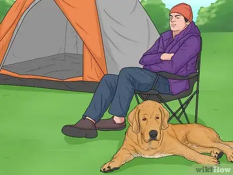Image titled Hang Out with Your Dog Step 13