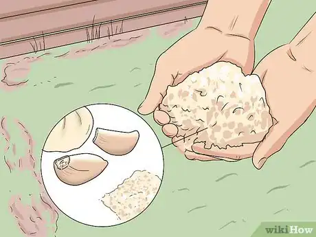 Image titled Keep Opossums Away Step 6