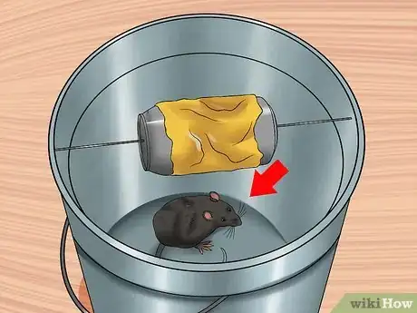 Image titled Catch an Escaped Pet Rat Step 16