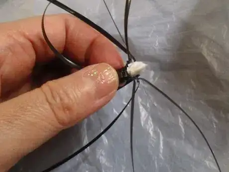 Image titled Para10_705.JPG