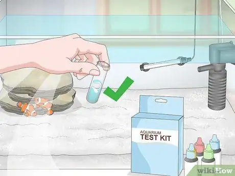 Image titled Set up a Small Reef Aquarium Step 13