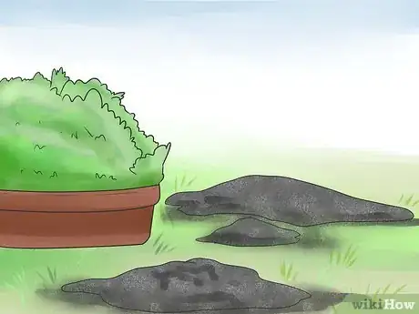 Image titled Prevent Cats from Pooping in the Garden Step 13