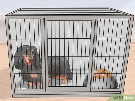 Image titled Get Your Dog to Stop Growling at You when Eating Step 11