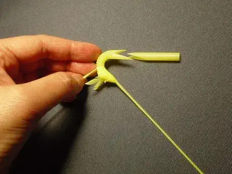 Image titled Shachi33_190.JPG