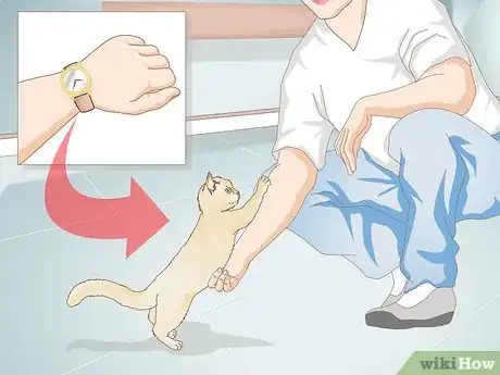 Image titled Keep an Indoor Cat Active Step 1