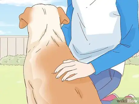 Image titled Pet a Dog Step 9