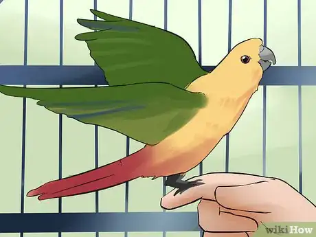 Image titled Teach a Conure to Talk Step 6