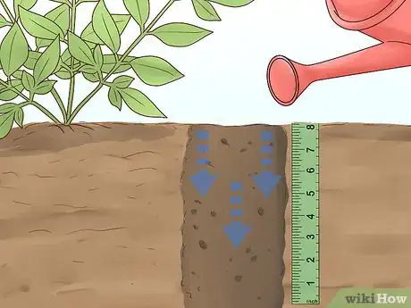 Image titled Prune Nandinas Step 12