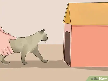 Image titled Adopt a Special Needs Cat Step 4