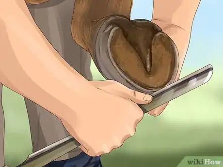 Image titled Know if Your Horse Needs Shoes Step 5
