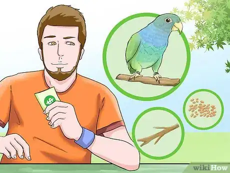 Image titled Know if a Pionus Parrot Is Right for You Step 4