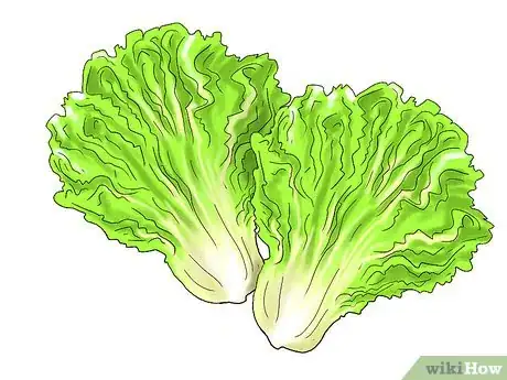 Image titled Grow Lettuce Indoors Step 29
