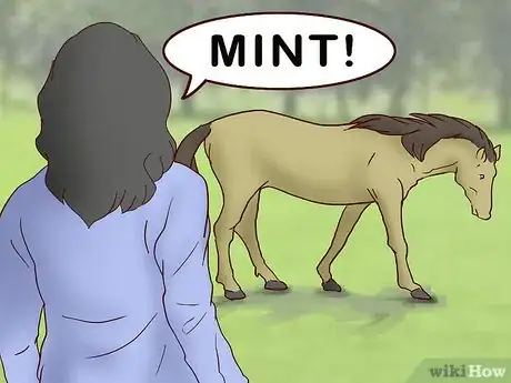 Image titled Feed a Horse a Mint Step 3