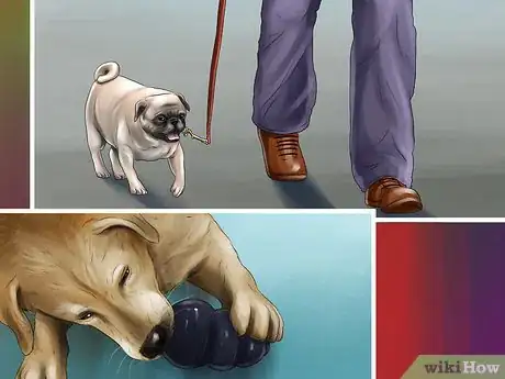 Image titled Keep Your Dog Under Control Outside Step 11