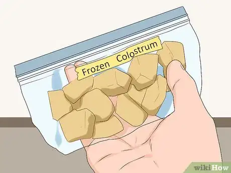 Image titled Ensure Passive Immunity in Newborn Puppies Step 8