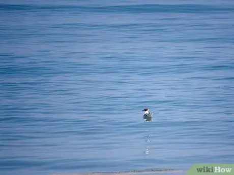 Image titled Sea Walk Step 5