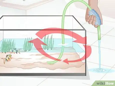 Image titled Do a Water Change in a Freshwater Aquarium Step 16
