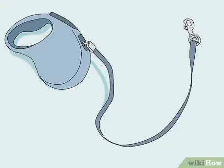 Image titled Walk a Dog on a Leash Step 2