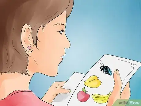 Image titled Care for Hermit Crabs Step 16