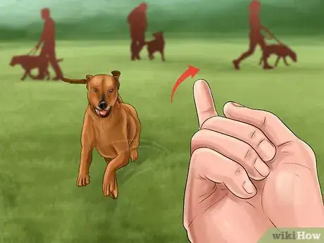 Image titled Keep an Indoor Dog Active Step 9