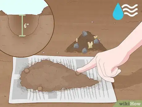 Image titled Improve Soil Step 11