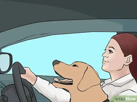 Image titled Become Close With Your Dog Step 9
